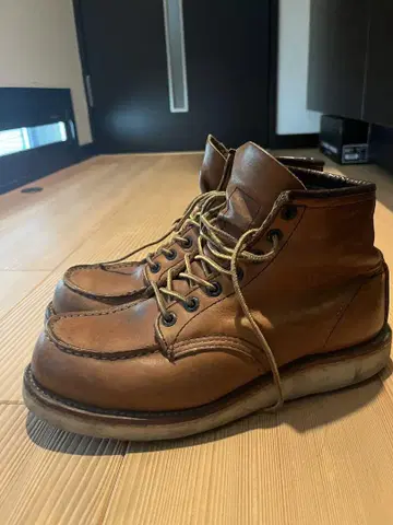 레드 윙 875 미국제