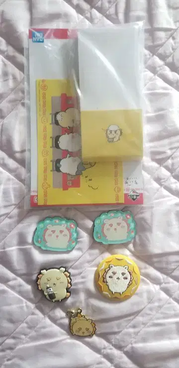 치이카와 시사