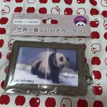 신신과 샨샨의 렌치 킬러 패스 케이스