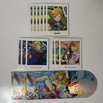 앙스타 하루카와 소라 파챠츠 TRIP vol.5 중국 소장