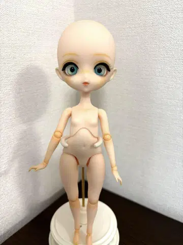 Harmonia bloom 팬지 하모니아 블룸