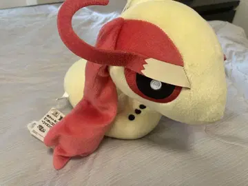 포켓몬스터 미로카로스 봉제 인형