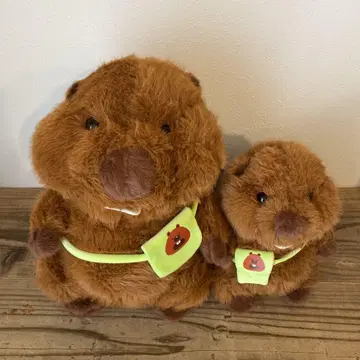 비버 봉제 인형 세트