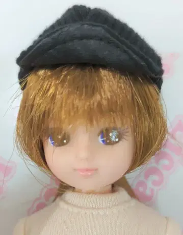 타카라 리카짱 리카짱 일기