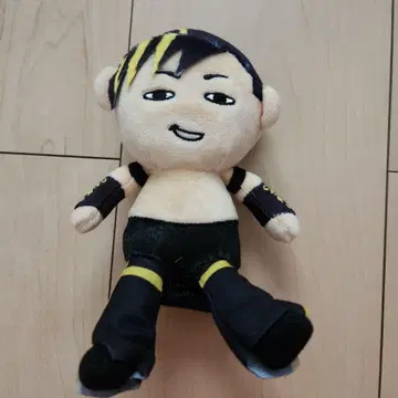 타이치 펑스케 신일본 프로레슬링