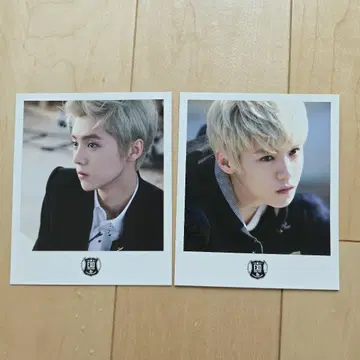 루한 EXO M 폴라로이드 세트 growl 우루 SM 공식
