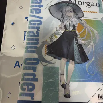FGO 마츠키요 코코카라 클리어 파일 모건