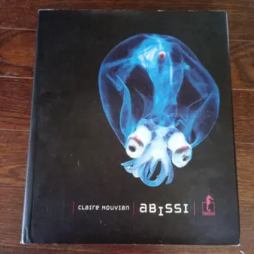 클레어 누비안 아비시