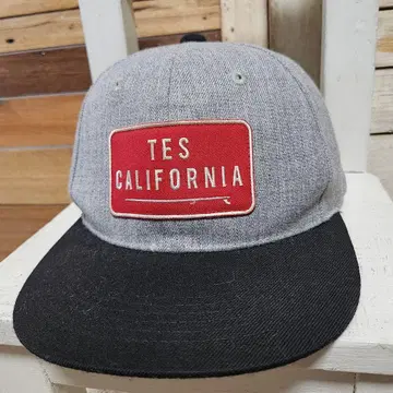TES The Endless Summer 엔드리스 써머 캡 로고
