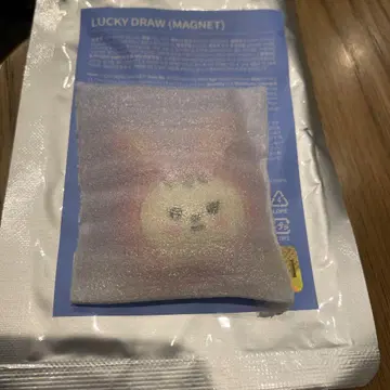 MINITEEN 트램 라키드로