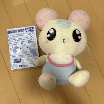 쉬폰 봉제 인형