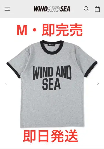 WIND AND SEA 그레이 티셔츠