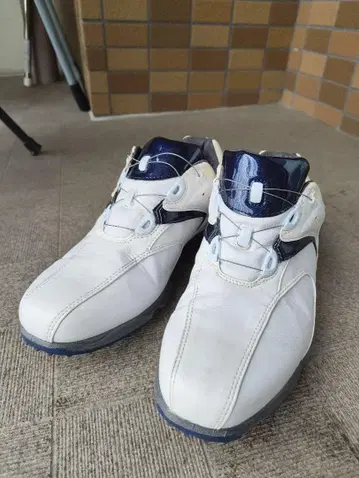 FJ 골프화 화이트/네이비 27cm