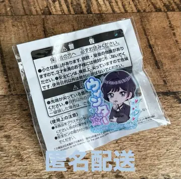 aespa 이름 아크릴 배지 윈터 남코 한정판