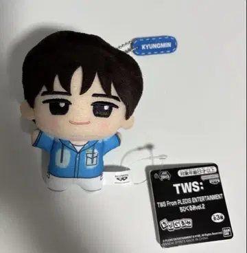 TWS 남코 한정판 SD 인형 경민