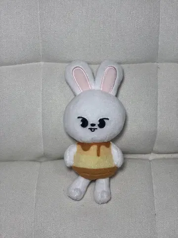straykids 봉제 인형 leebit