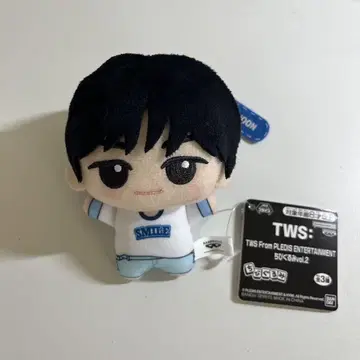 TWS 도훔 SD 인형 봉제 인형