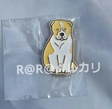 엑스포 토르크메니스탄 관 핑 배치 토르크메니스탄 파빌리온 작은 개