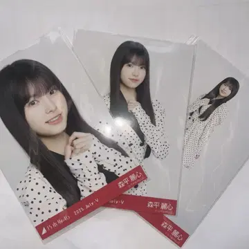 노기자카46 브로마이드 모리히라 레이코 도트 컴프
