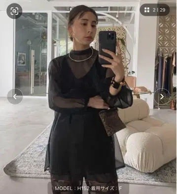 아메리 에어리 시어 블라우스