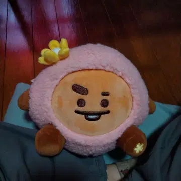 BTS SPRING DAYS Edition shooky