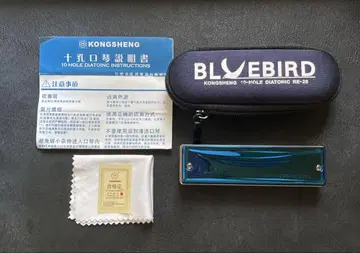 KONGSHENG BlueBird 10 구멍 블루스 하모니카 (C)
