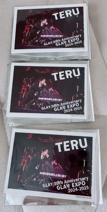 GLAY 30주년 기념 GIGO 한정판 콜라보 라이브 사진 TERU