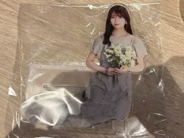 이와모토 렌카 NOGI 메쿠리 S상 BIG 아크릴 스탠드