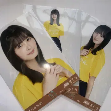 노기자카46 브로마이드 엔도 사쿠라 라이브 티셔츠 오사카 컴프