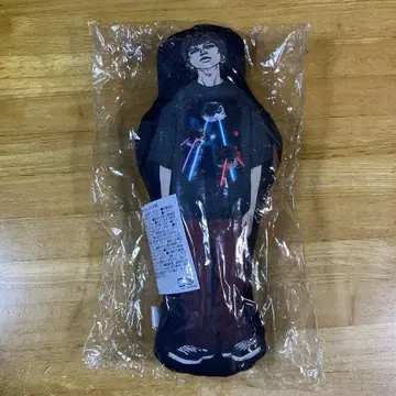 DISH//타치바나 슈이 28세 생일 굿즈 고양이 봉제 인형 새상품