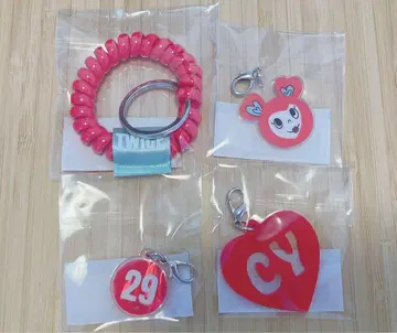 twice 팝업 워크숍 코일 키링 참 체영