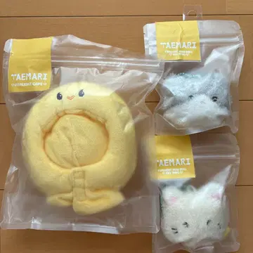 테민 테마리