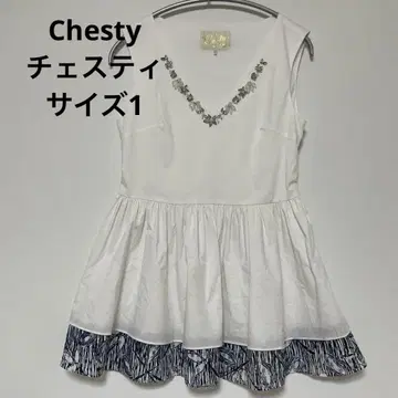 Chesty 체스티 비쥬 슬리브리스 튜닉 사이즈 1