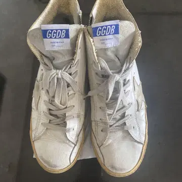 골든 고세 프랑스