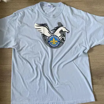 구제 의류 HonorFlight 로고 티셔츠 라이트 블루