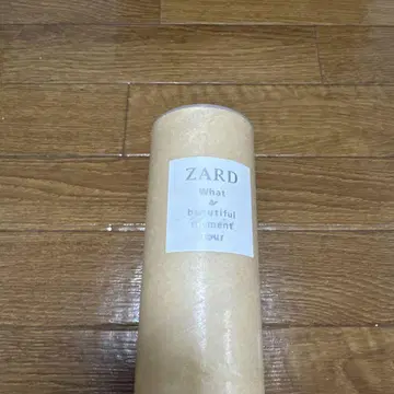 ZARD What a beautiful moment tour 포스터