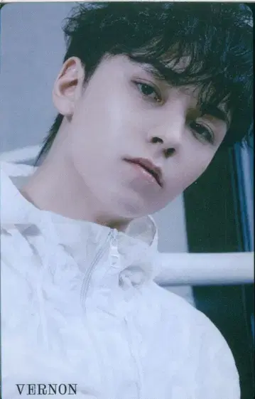 SEVENTEEN FML VERNON 트레이딩 카드