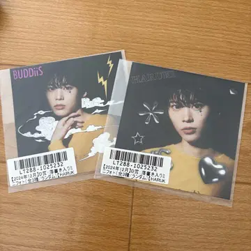 BUDDiiS HARUKI 하루키 스크래치