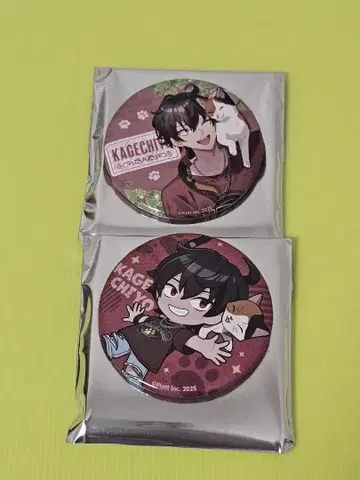 혼혈 카레코레 마네키네코 캔뱃지 카게치요 미니게임 실물 크기