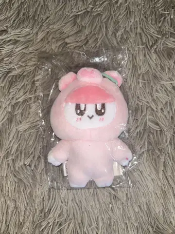 모자 꽁지
