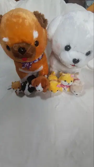 콩 세 형제 봉제 인형