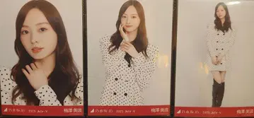 노기자카46 브로마이드 도트 오사카 3종 컴프 우메자와 미나미