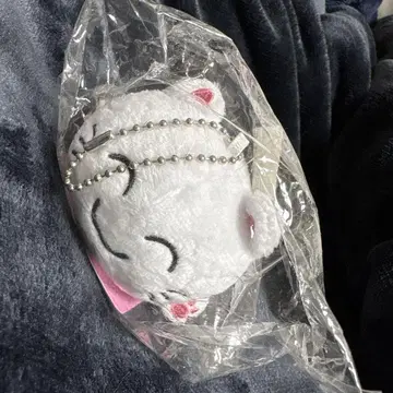 외출하는 고양이