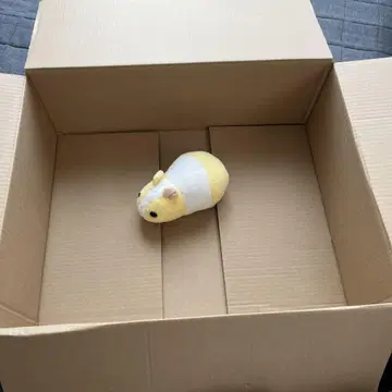 복짱