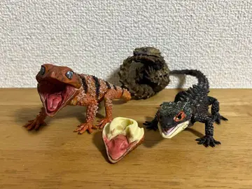 도마뱀 도마뱀 피규어 3개 세트