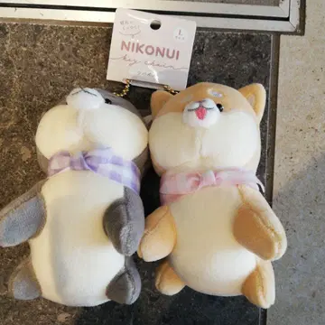 NIKONUI 시바이누 L 사이즈 봉제 인형 키체인