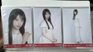 노기자카46 야다 모에카 도트 컴프