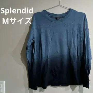 Splendid 그라데이션 블루 M 사이즈 스웨터