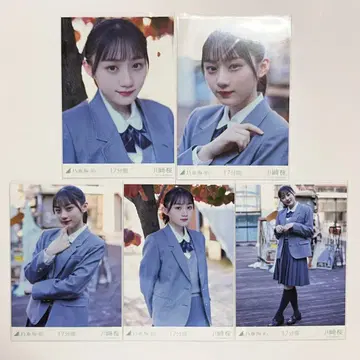 노기자카46 카와사키 사쿠라 17분 5종 컴프
