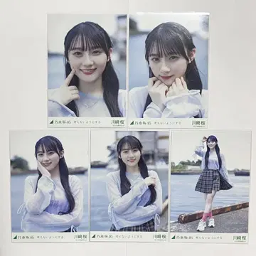 노기자카46 카와사키 사쿠라 생각하지 않기로 5종 컴프